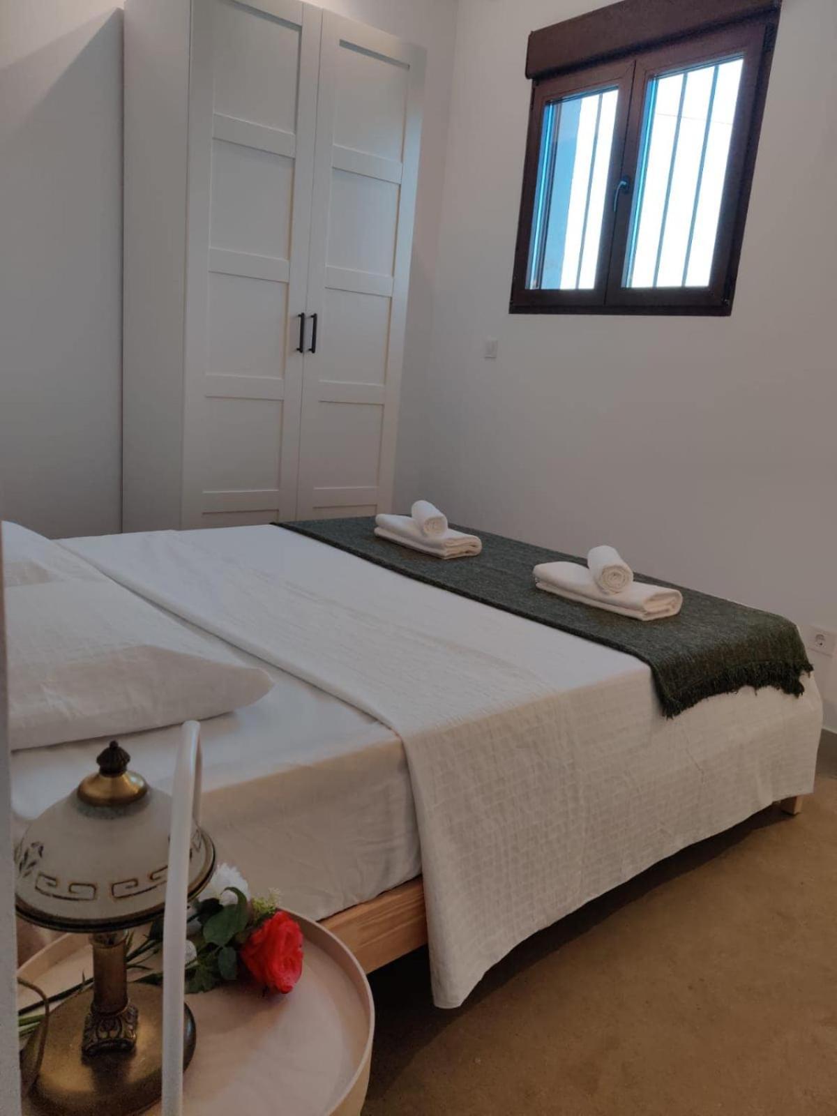 Relaxing House With View Beautiful Of Science Apartment Valencia